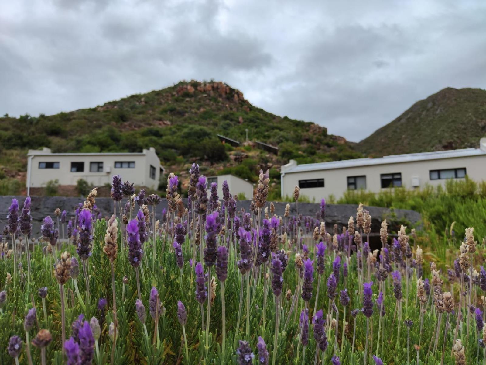 Roodekloof Apartment Montagu Exterior photo