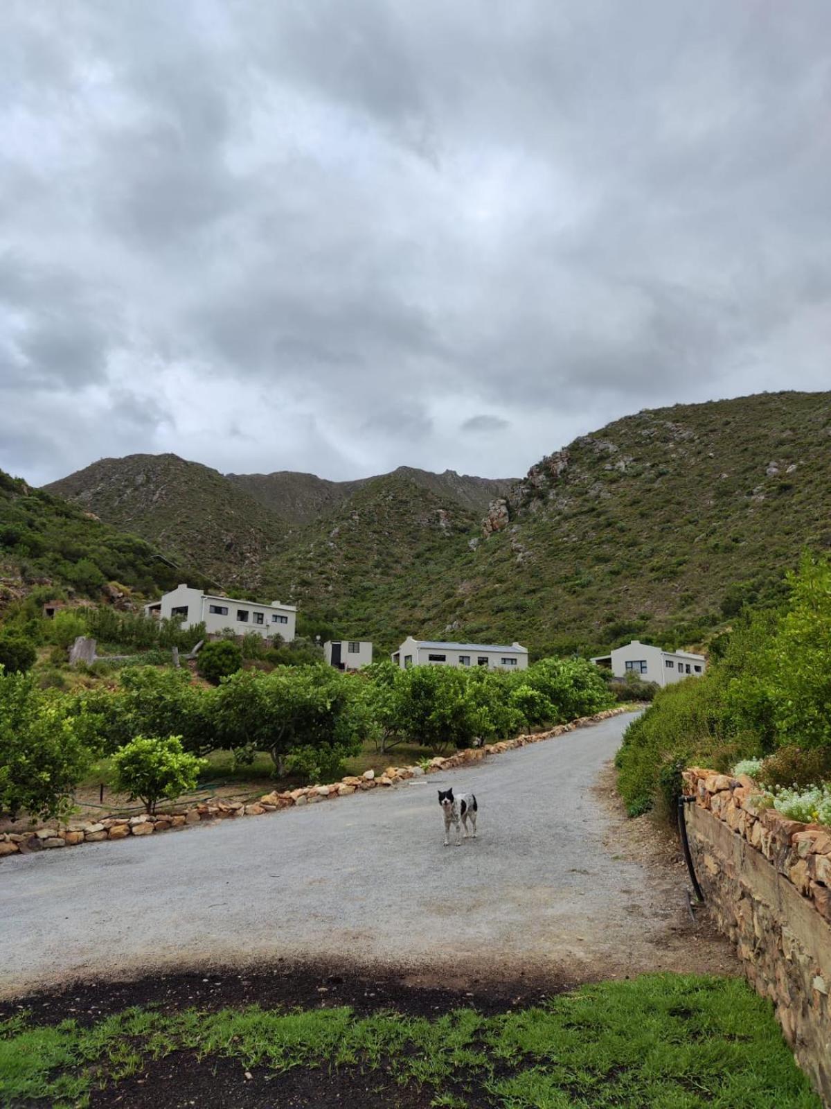 Roodekloof Apartment Montagu Exterior photo